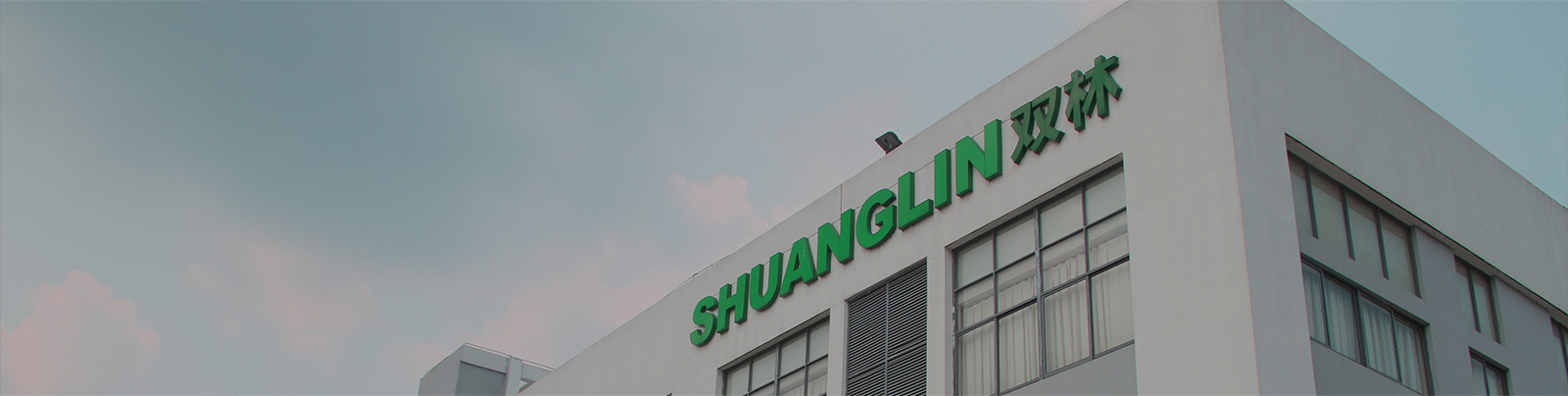 DT电子官网股份站群