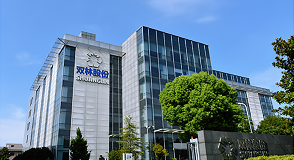 DT电子官网印象